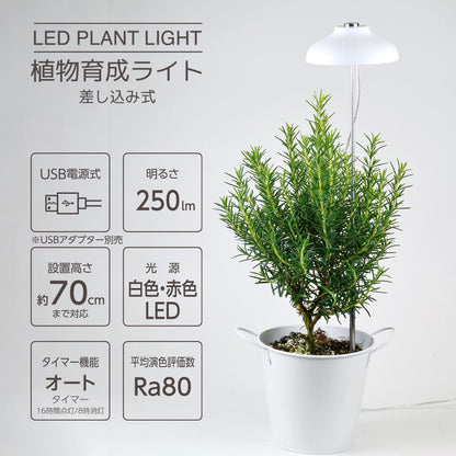 植物育成ライト（USB電源式/白色・赤色LED/5.0W/250 lm/オートタイマー機能）_06-5237_TT-YG01NA1A-W_OHM（オーム電機）