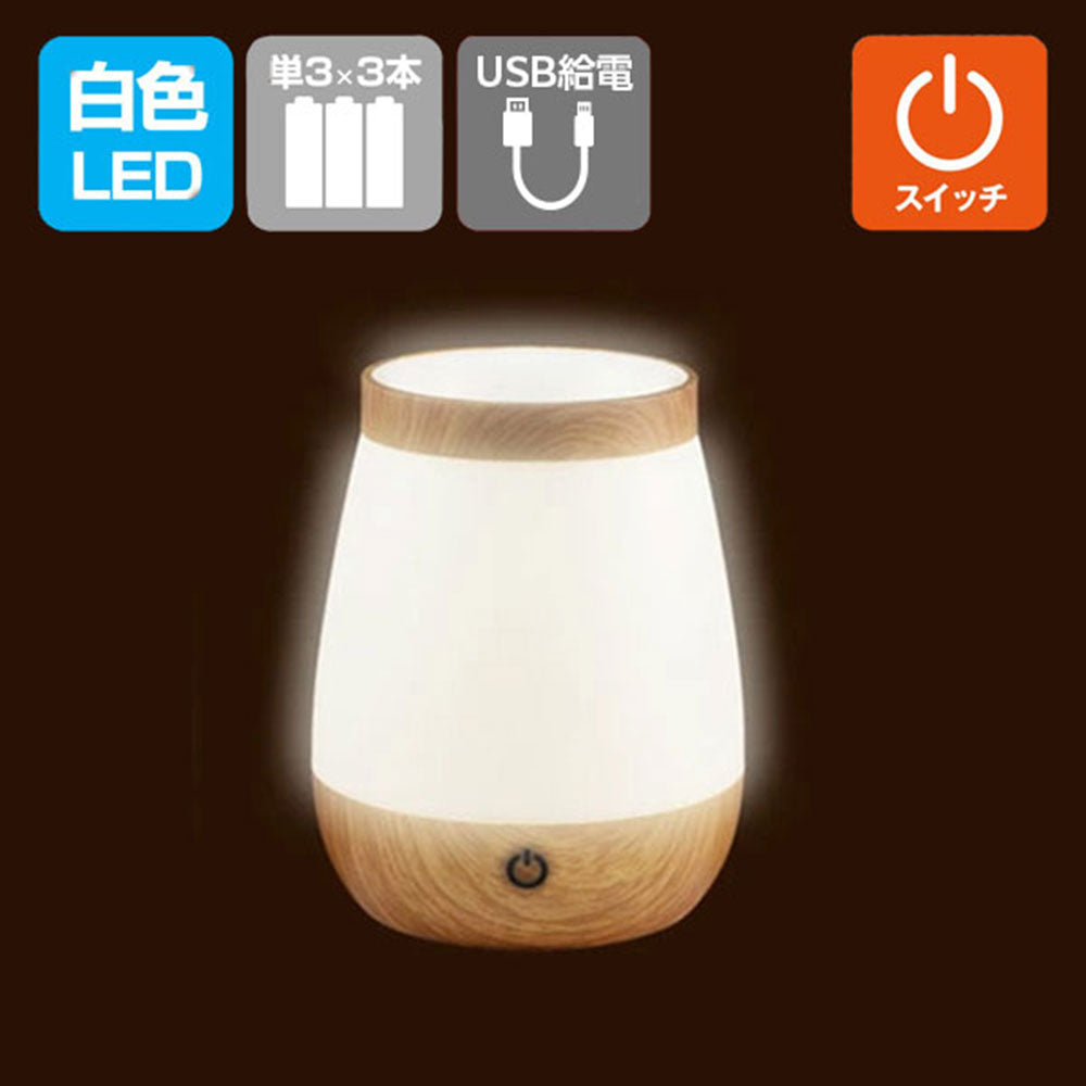 LED小物が入るライト_PM-LP101_ELPA（エルパ・朝日電器）